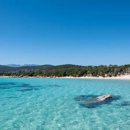 Dolce Vita - Maison De Vacances En Corse * 维琪奥港